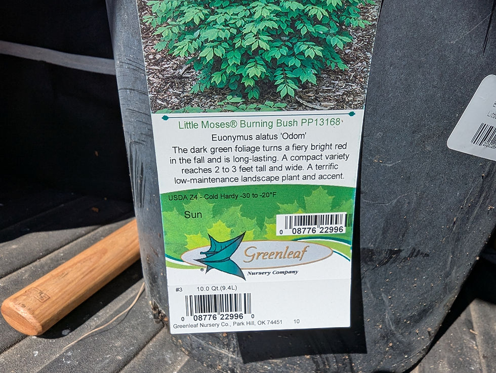 Tuesday, April 21, 2026