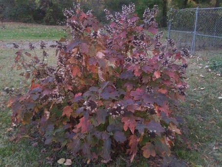 Wednesday, Dec. 1, 2021