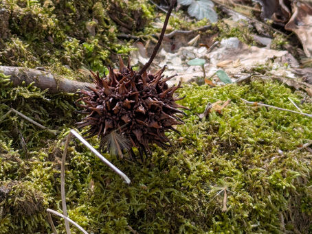 Monday, March 2, 2026