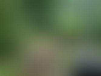 Friday, May 30, 2025