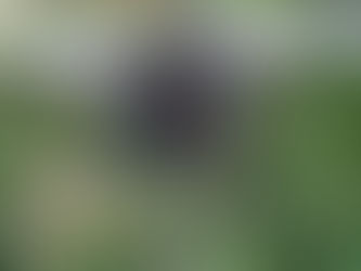 Wednesday, May 20, 2026
