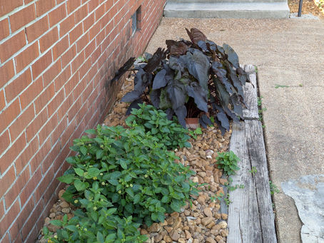 Thursday, May 22, 2025