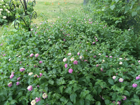 Tuesday, June 6, 2023