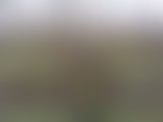 Wednesday, March 23, 2022