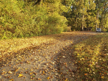 Tuesday, Oct. 31, 2023