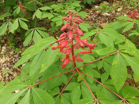 Wednesday, April 3, 2024