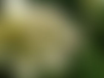 Monday, June 5, 2023