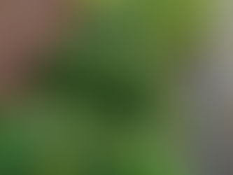 Tuesday, June 16, 2026