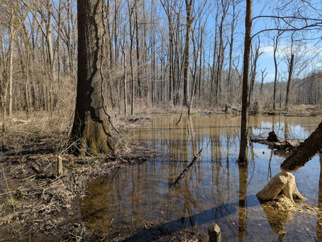 Monday, March 24, 2025