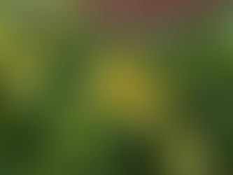 Thursday, June 5, 2025