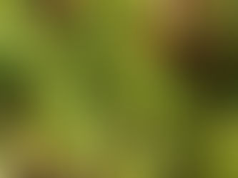 Friday, Nov. 3, 2023