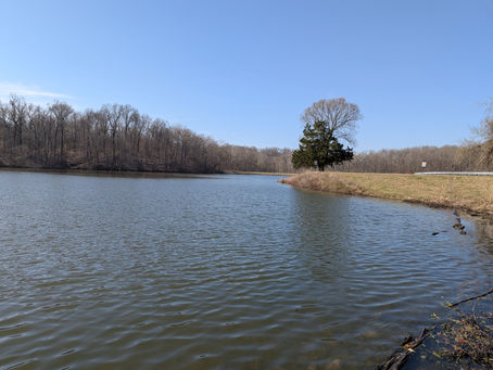 Tuesday, March 18, 2025