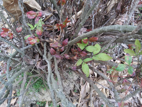 Saturday, March 23, 2024