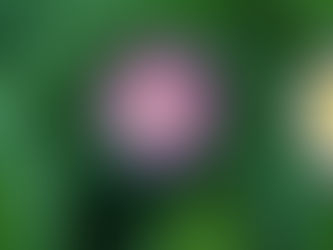 Sunday, May 25, 2025