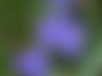 Friday, June 5, 2026