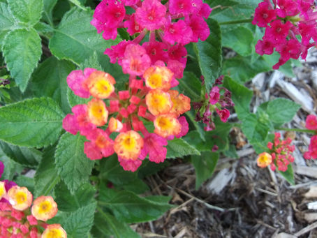 Friday, June 2, 2023