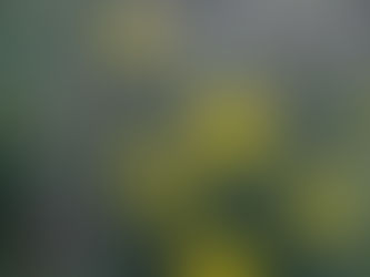 Wednesday, March 9, 2022