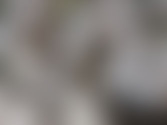 Thursday, June 20, 2024