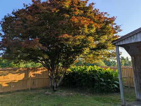 Friday, June 13, 2025