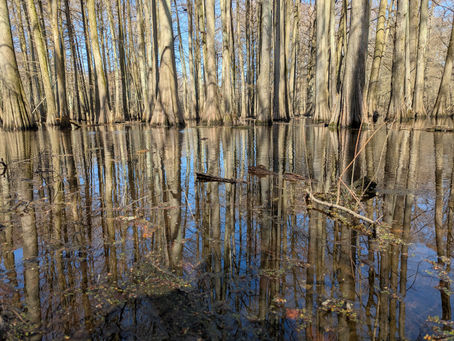 Thursday, March 20, 2025