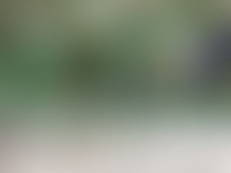 Thursday, June 22, 2023