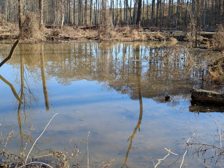 Wednesday, January 14, 2026