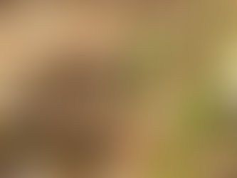 Monday, April 3, 2023