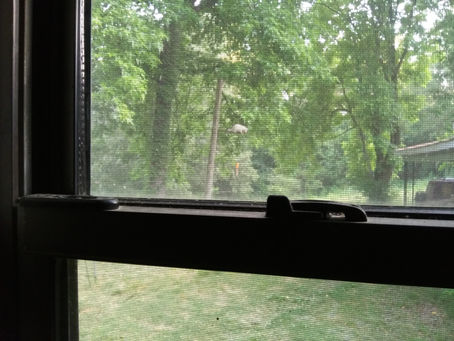 Wednesday, May 31, 2023