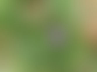 Tuesday, April 18, 2023