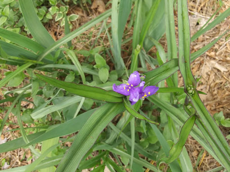 Tuesday, April 18, 2023