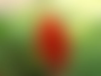 Wednesday, June 7, 2023