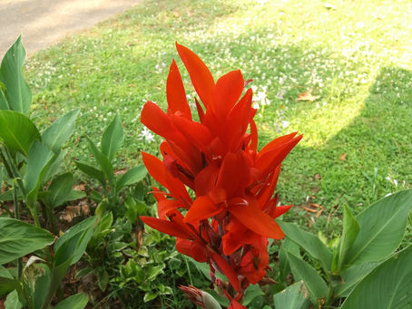 Wednesday, June 7, 2023