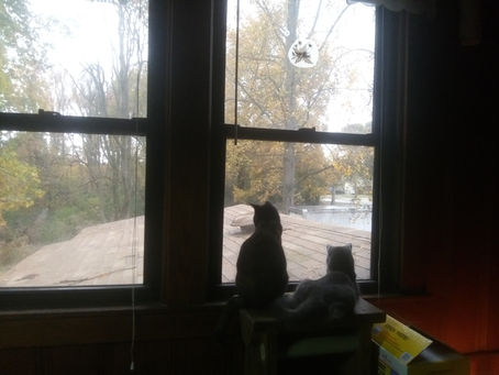 Tuesday, Nov. 23, 2021