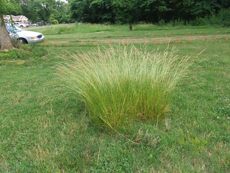 Tuesday, May 30, 2023