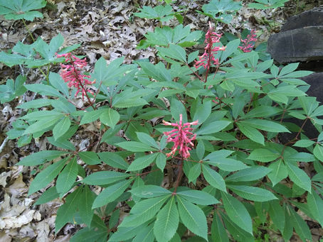 Thursday, April 27, 2023