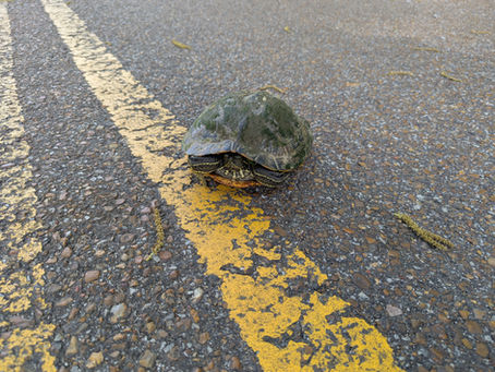 Thursday, April 30, 2026