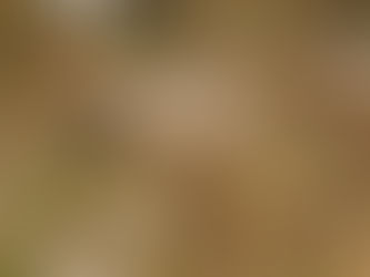 Monday, Nov. 20, 2023