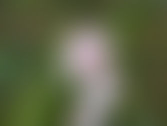 Sunday, April 27, 2025