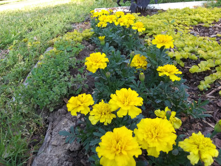 Thursday, April 20, 2023