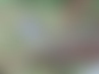 Tuesday, September 1, 2026