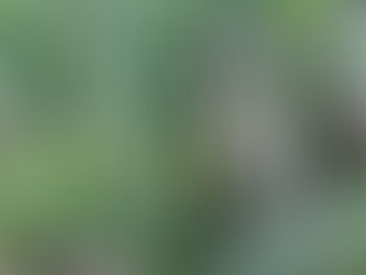 Monday, March 28, 2022