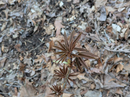 Thursday, March 13, 2025