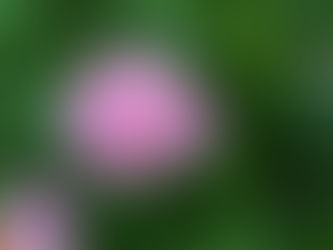 Monday, June 12, 2023