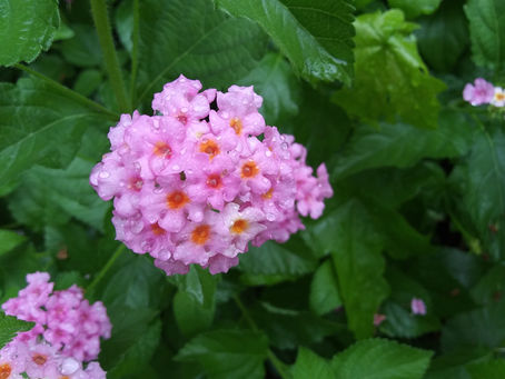 Monday, June 12, 2023