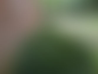 Friday, July 11, 2025