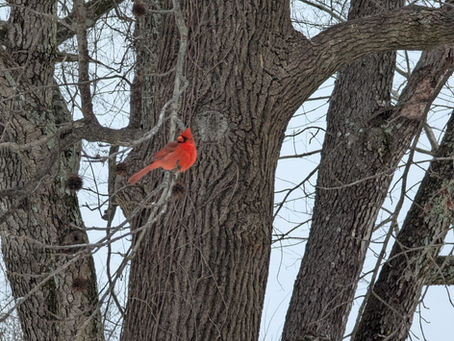 Wednesday, January 28, 2026