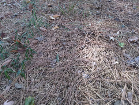 Sunday, Sept. 15, 2024