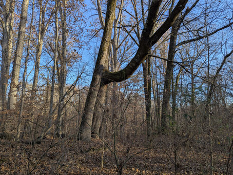 Saturday, December 13, 2025