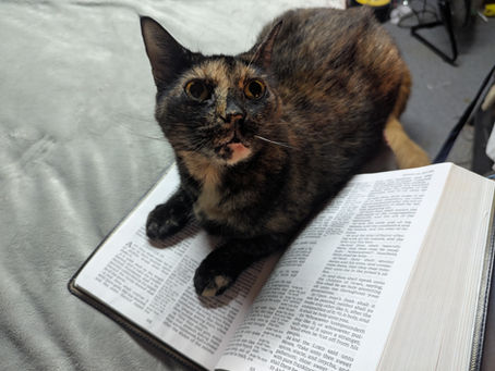 Sunday, May 31, 2026