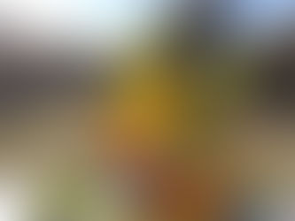 Tuesday, Nov. 14, 2023